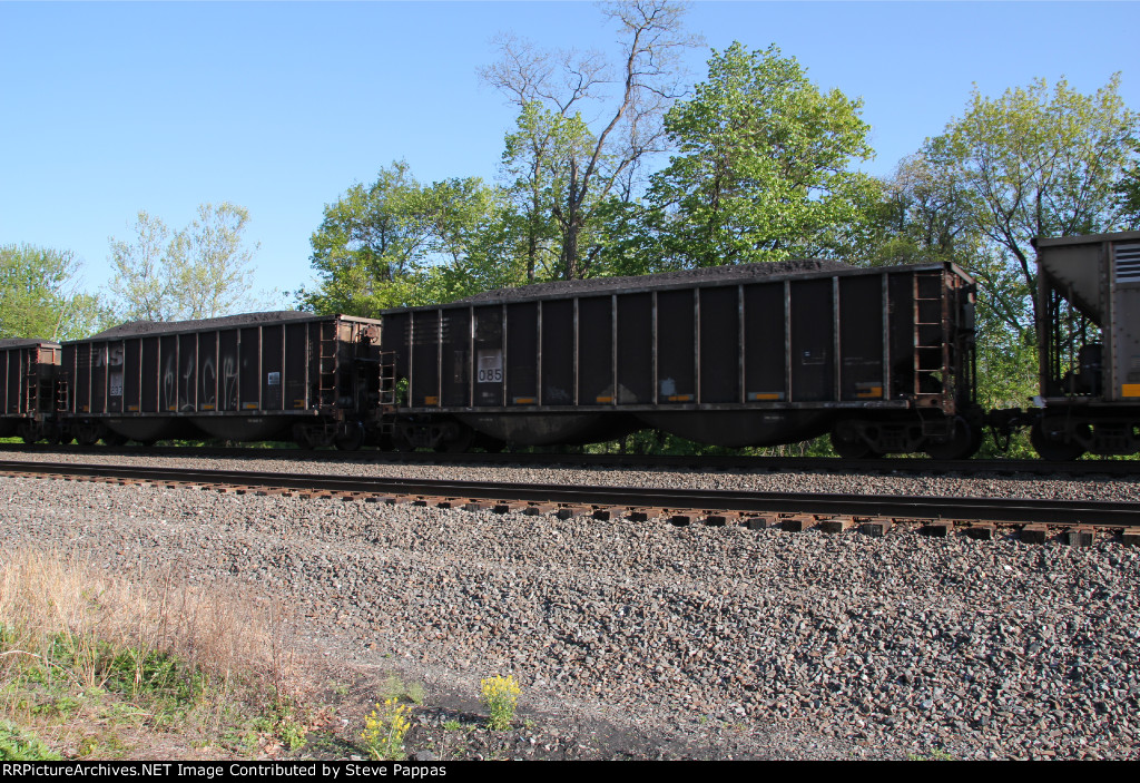 NS 10085